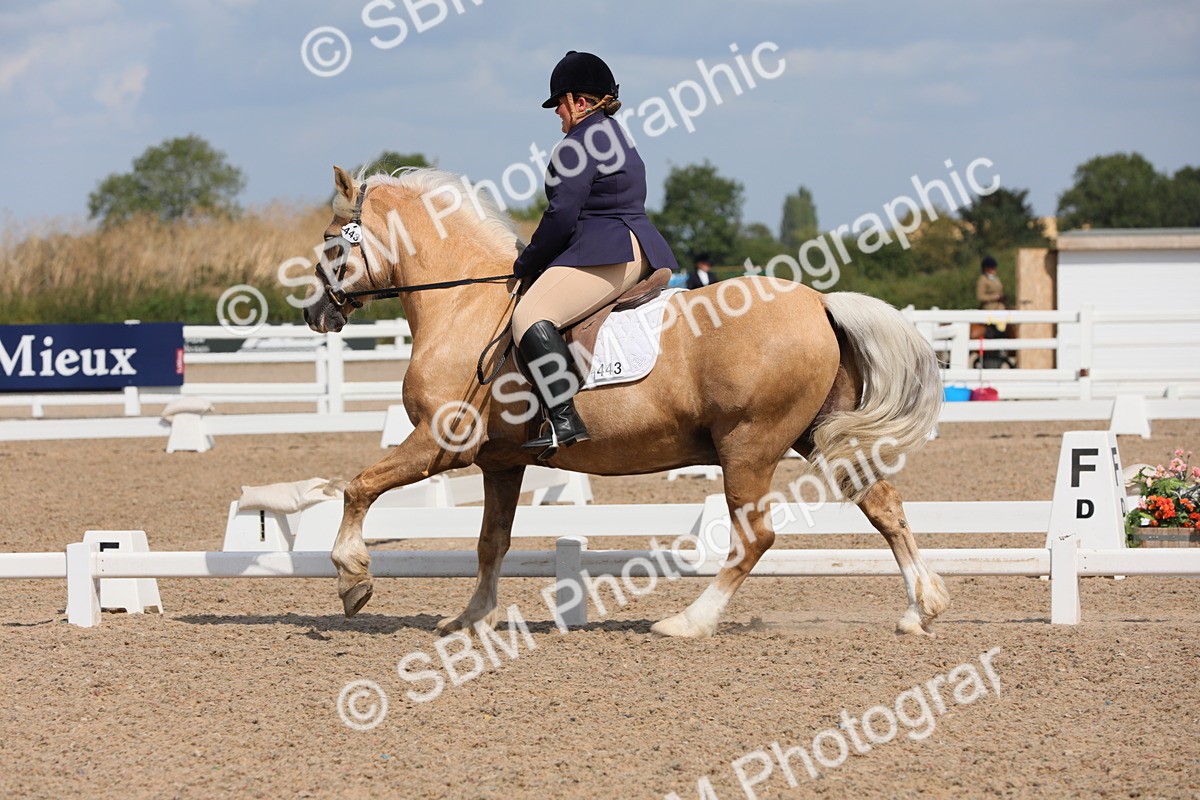 SBM_04037 - Class 31 Prelim 1