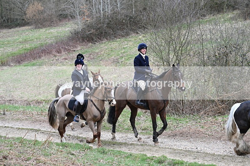 WJ7_7420 - Walk Home