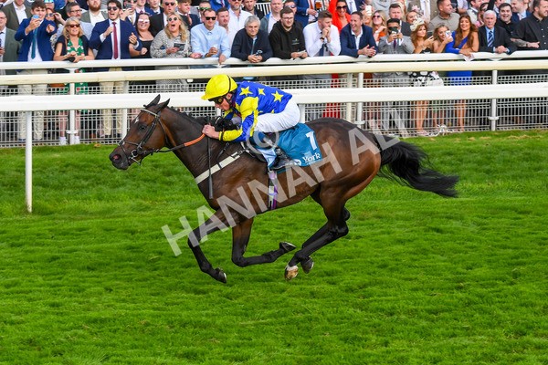 260823-Race 7-Astro King-1078 - Race 7 Sky Bet Finale Handicap at York