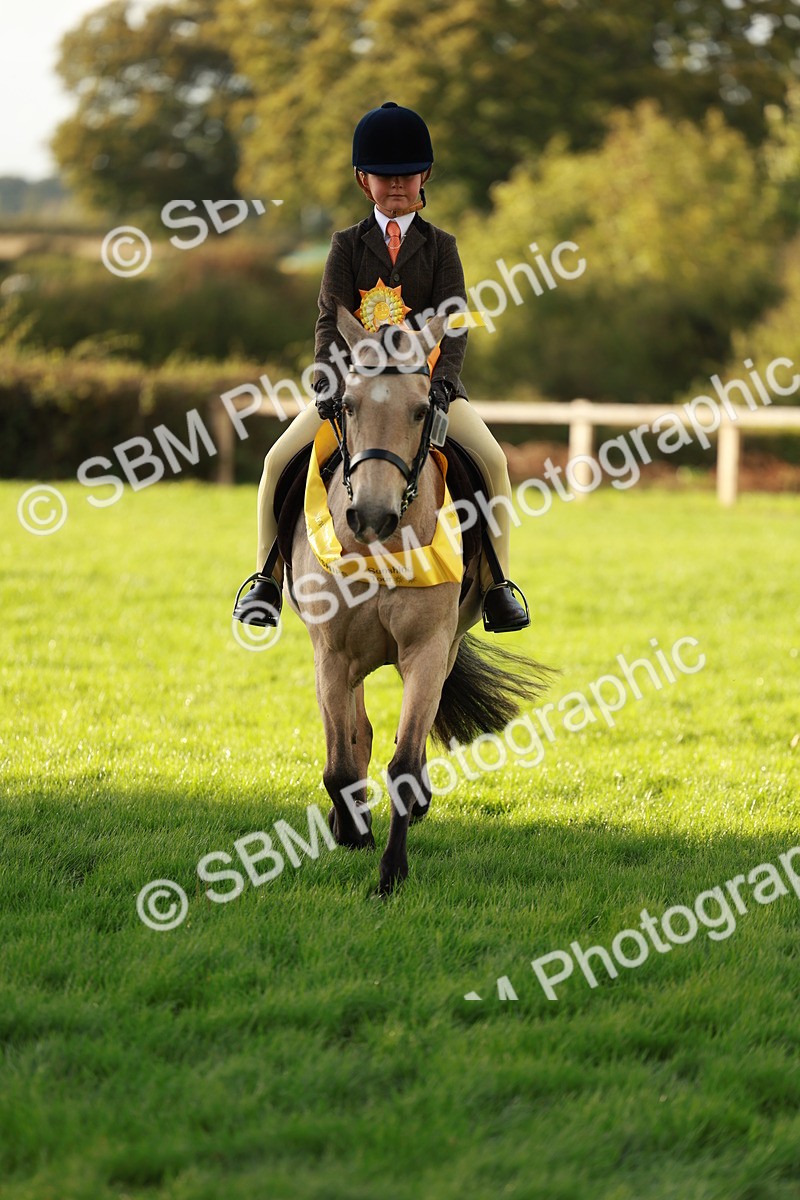 SBM_29273 - Novice & newcomer Supreme Championship