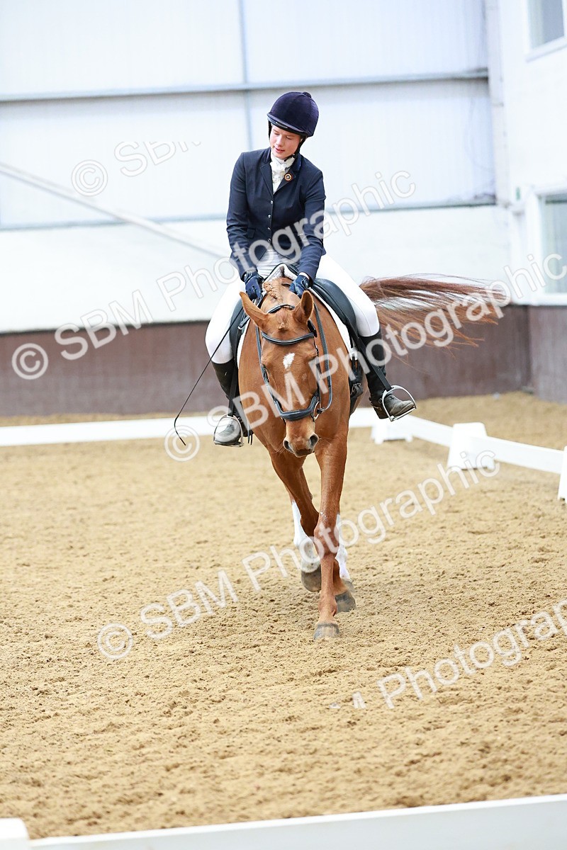 SBM_003477 - Class 11 - Novice 2