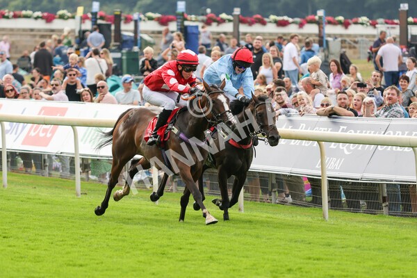 yr04092022p1-36 - 12.30pm 148cm Conditions Pony Race