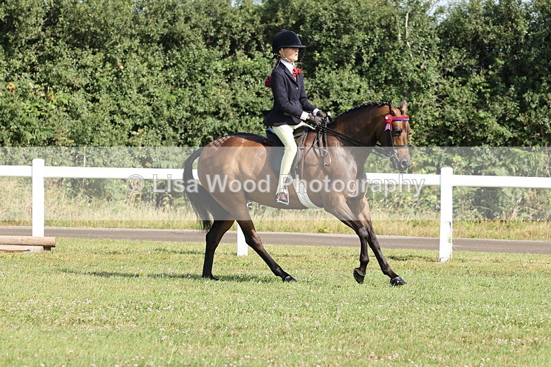 JPP_0701 - Class 16: Cornish Combination Young Rider