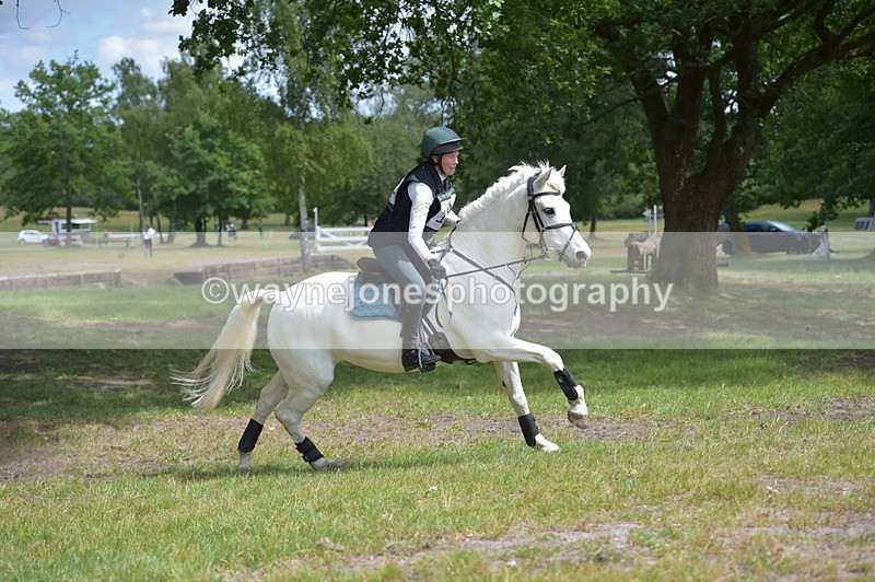 NGP_8161 - Time 11:39 to 11:48