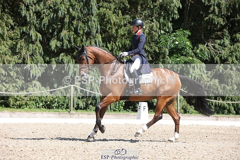 230526-152540-06695 - 381-CAROLINES_AIR_KM-Izzy_Taylor-WEDTrotUp+DR