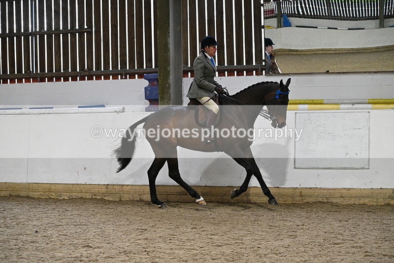 WJ7_3892 - Class 17 Ridden Cob