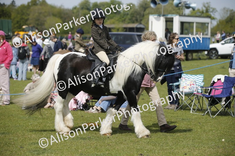 20260426-1840 - Class 7 - Pony Judge Would Most Like To Take Home