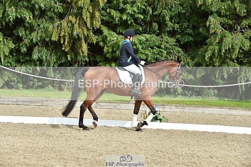 230812-160852-05411 - Novice Bronze Presentations