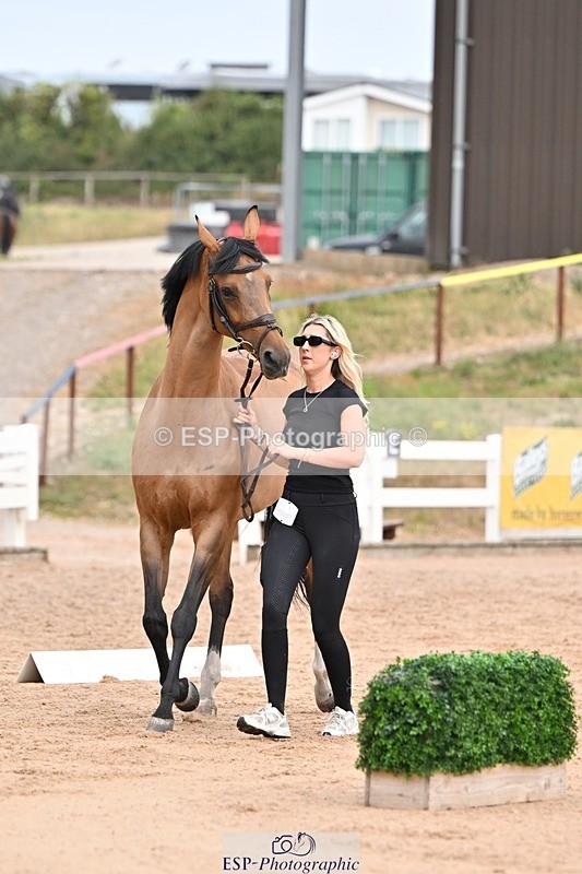 250716-151550-01827 - Trot Up 2.30 to 3.30