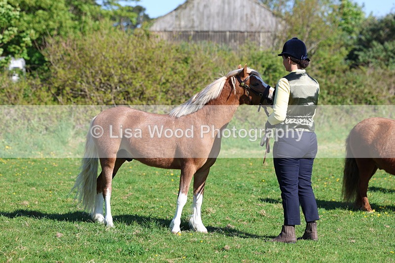 3E7A8422 - Class 12: M & M Small Breeds