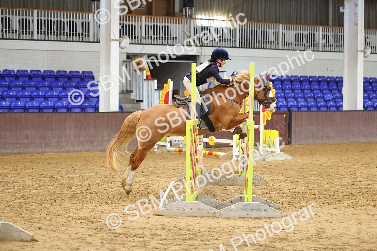 SBM_001800 - Class 5 - Show Jumping 80cm