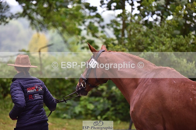 240522-164126-01084 - 216-I'M_A_WONDER-Rosie_Bradley-Hole