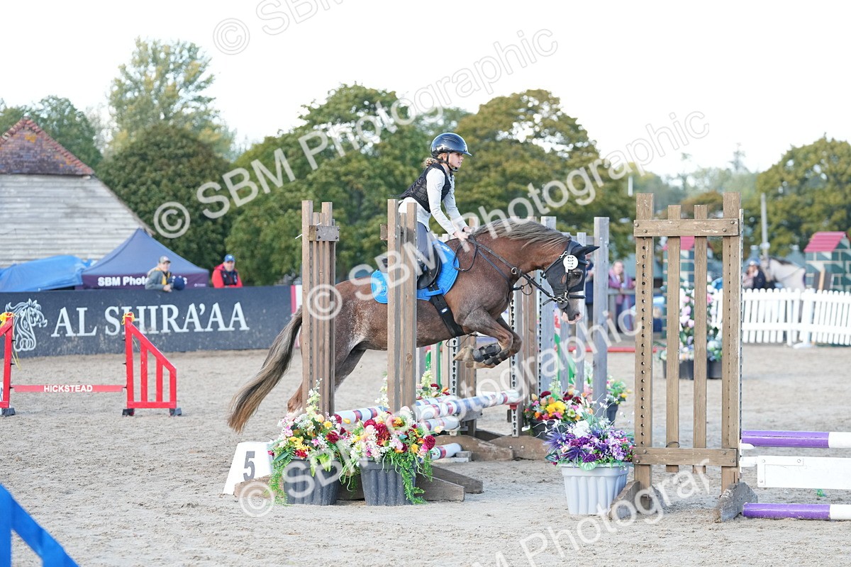 SBM_29057 - J43 - Horse & Hound Open 50cm