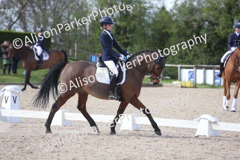 20260405-0905 - Pony FEI