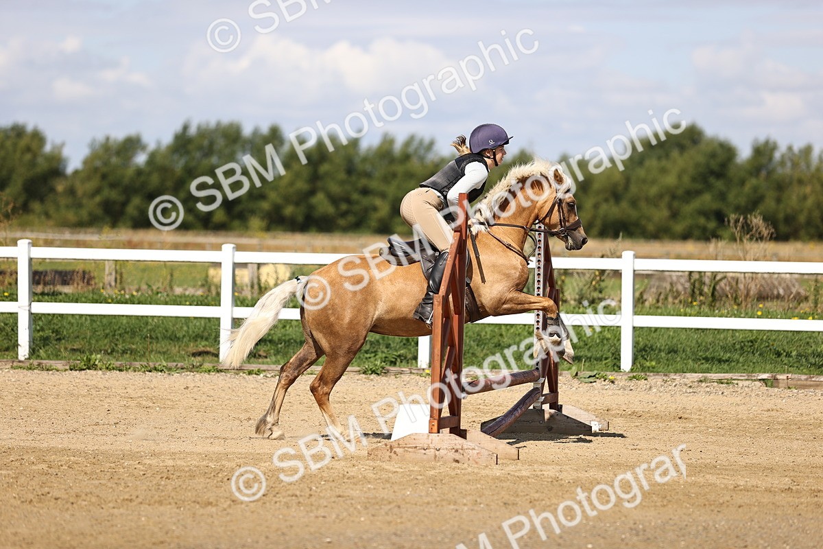 SBM_001220 - AE - 50cm
