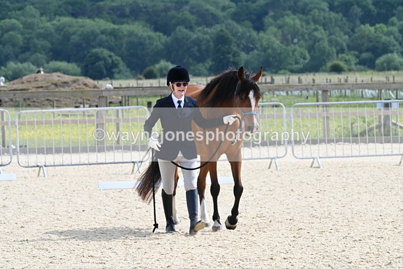 WJ7_8204 - Time 16:10 to 16:25