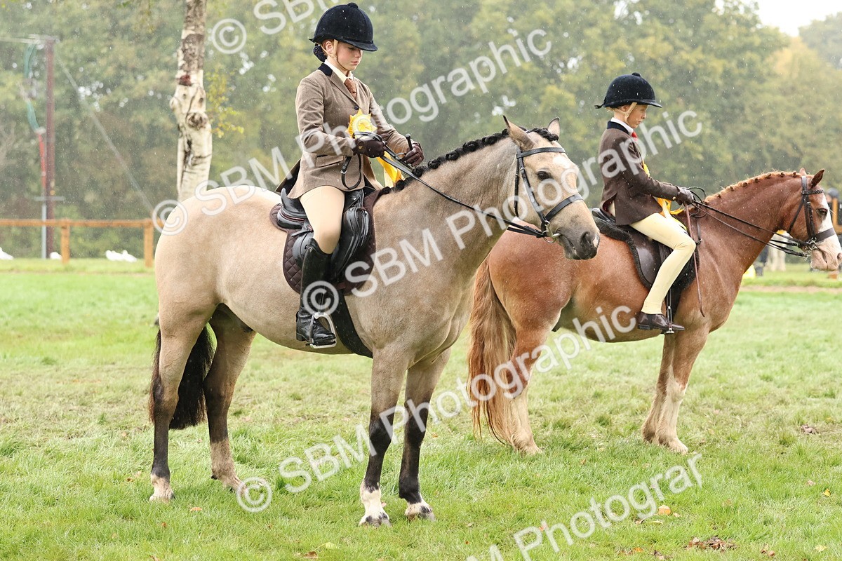 SBM_73086 - S63 Show Pony & Show Hunter Pony Ridden