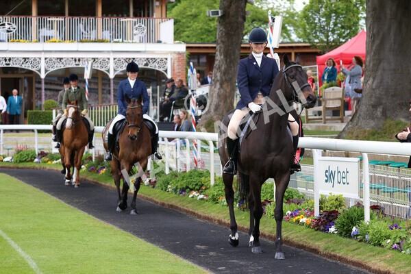 yr22052022r8e-49 - ROR - Parade Ring York