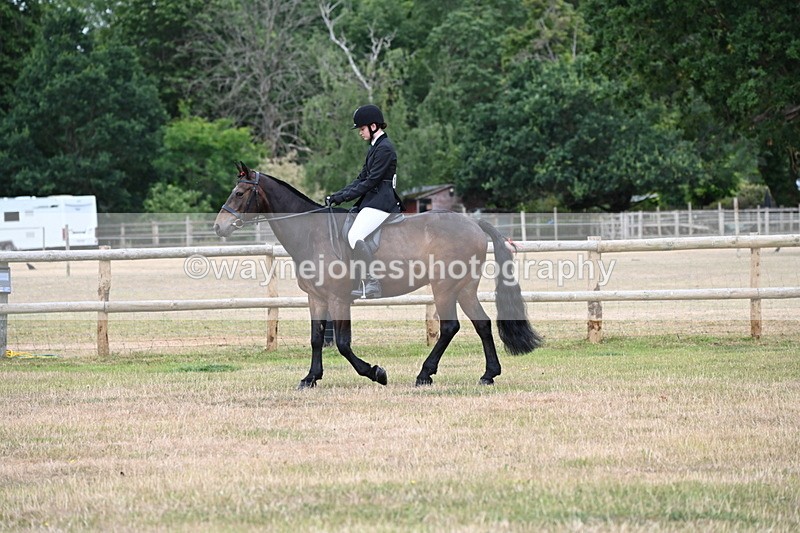 WJ6_3800 - Class 9 Tack & Turnout