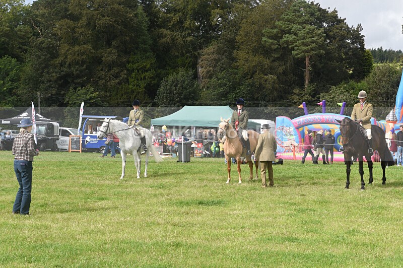 45 - Yarrow & Ettrick Pastoral Society Show 2026