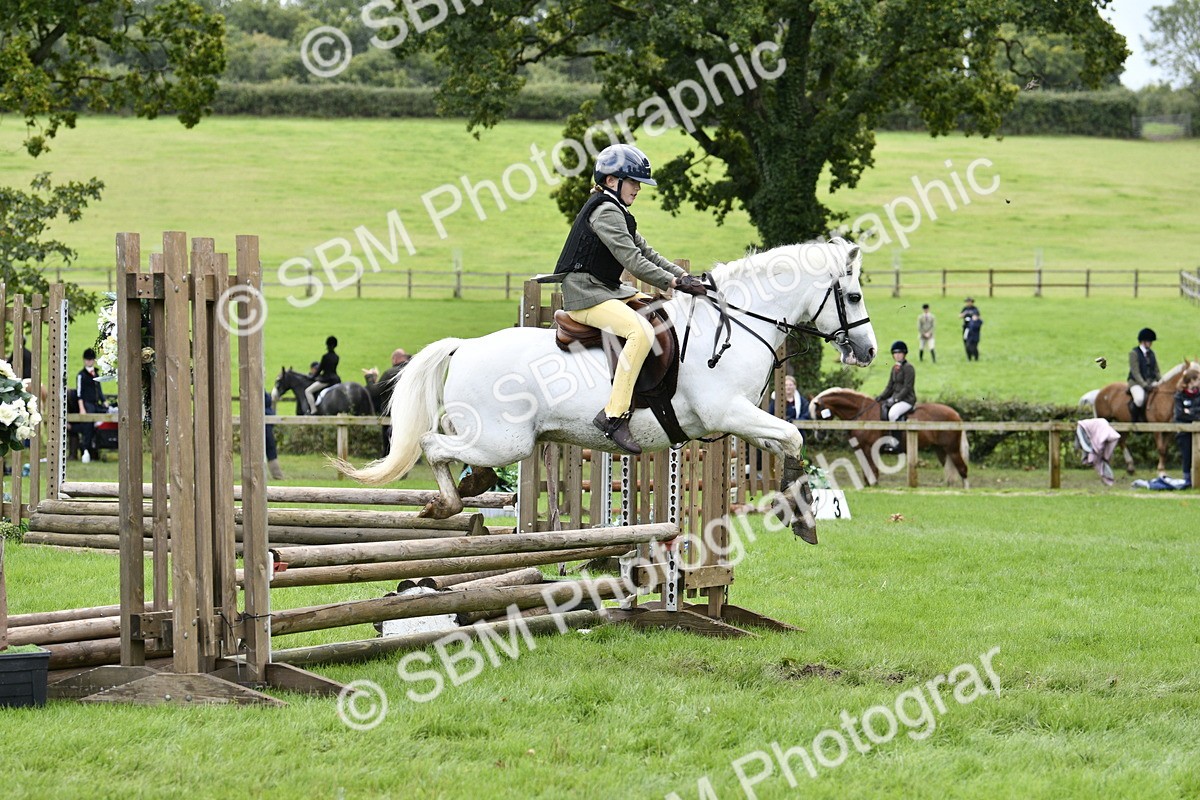 SBM_41285 - S32 - Mountain & Moorland Working Hunter Pony