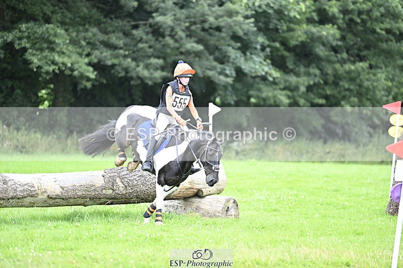 240804-144426-15439 - 555-Jack_Wish-WESTERLAKE_BUTTONWEED