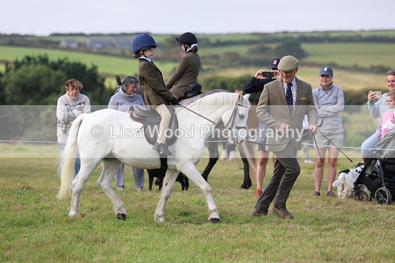 3E7A3473 - Class 2: Lead rein