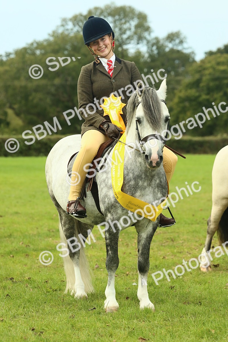 SBM_70032 - S59 - Mountain & Moorland Ridden Small Breeds