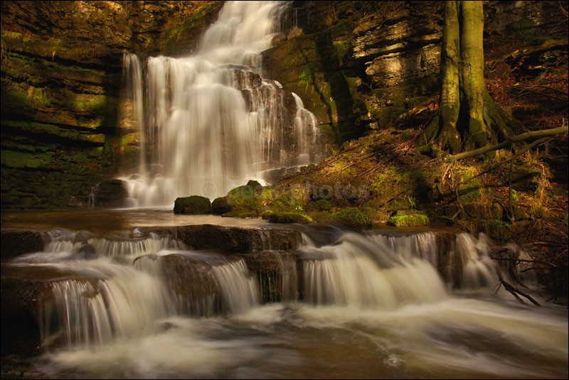 Scaleber Force Falls - Photographs of England