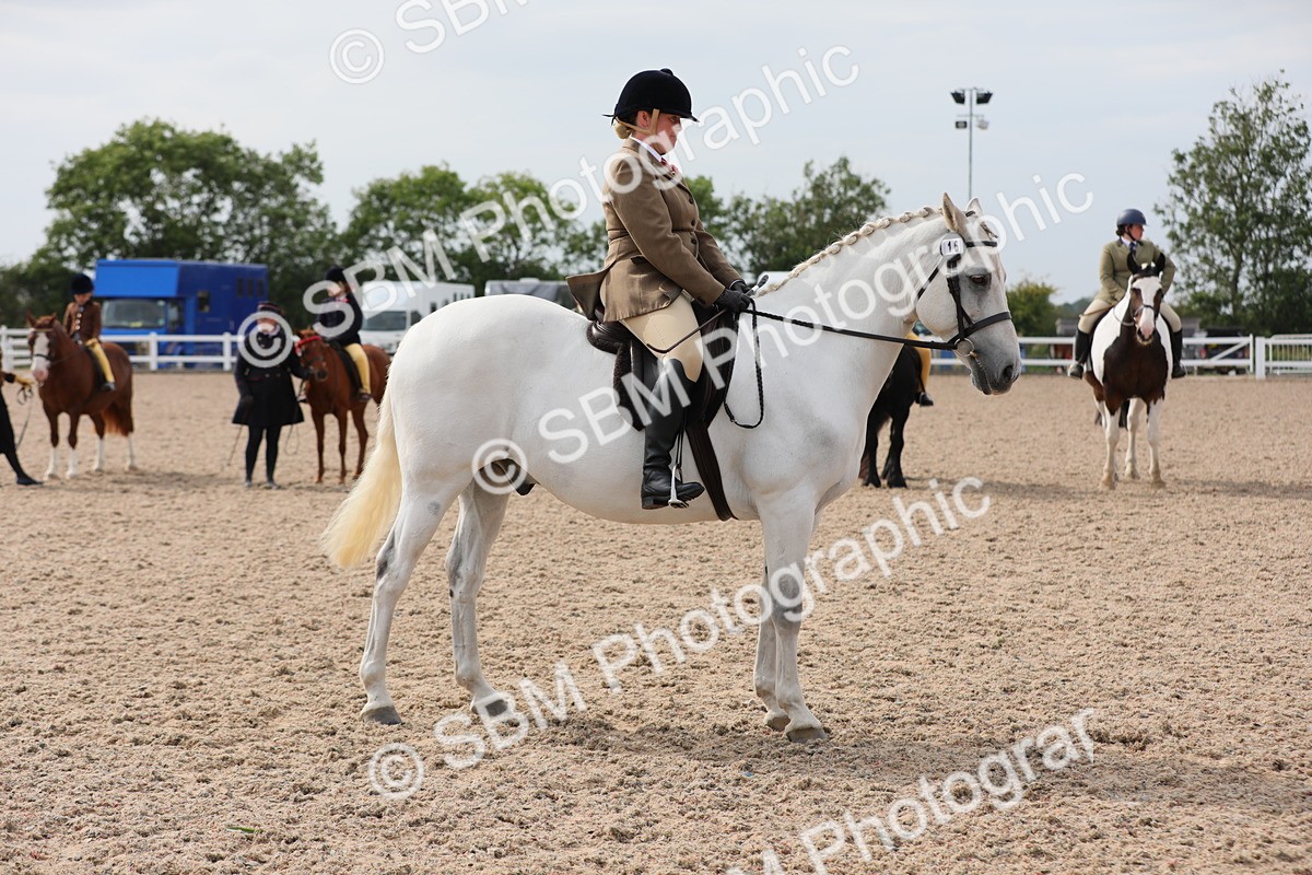 SBM_16990 - Class 314 Family Horse/Pony