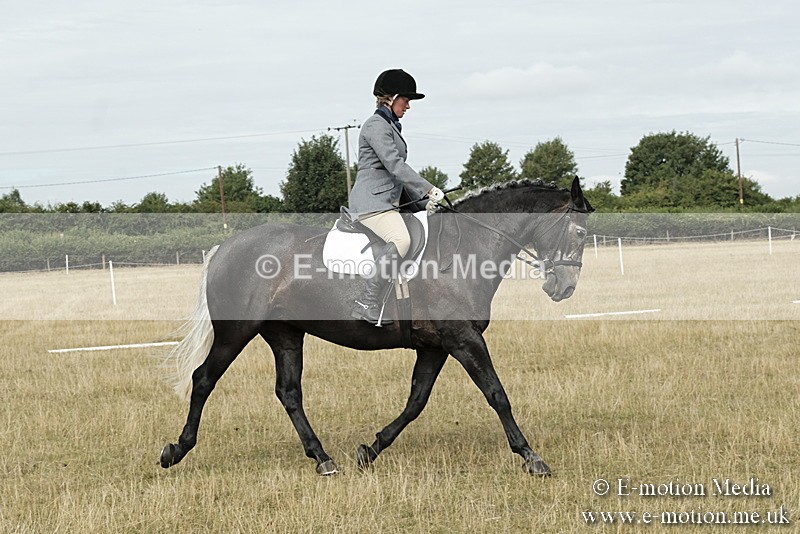 _PJP5628 - Dressage Classes BVRC Show 2018