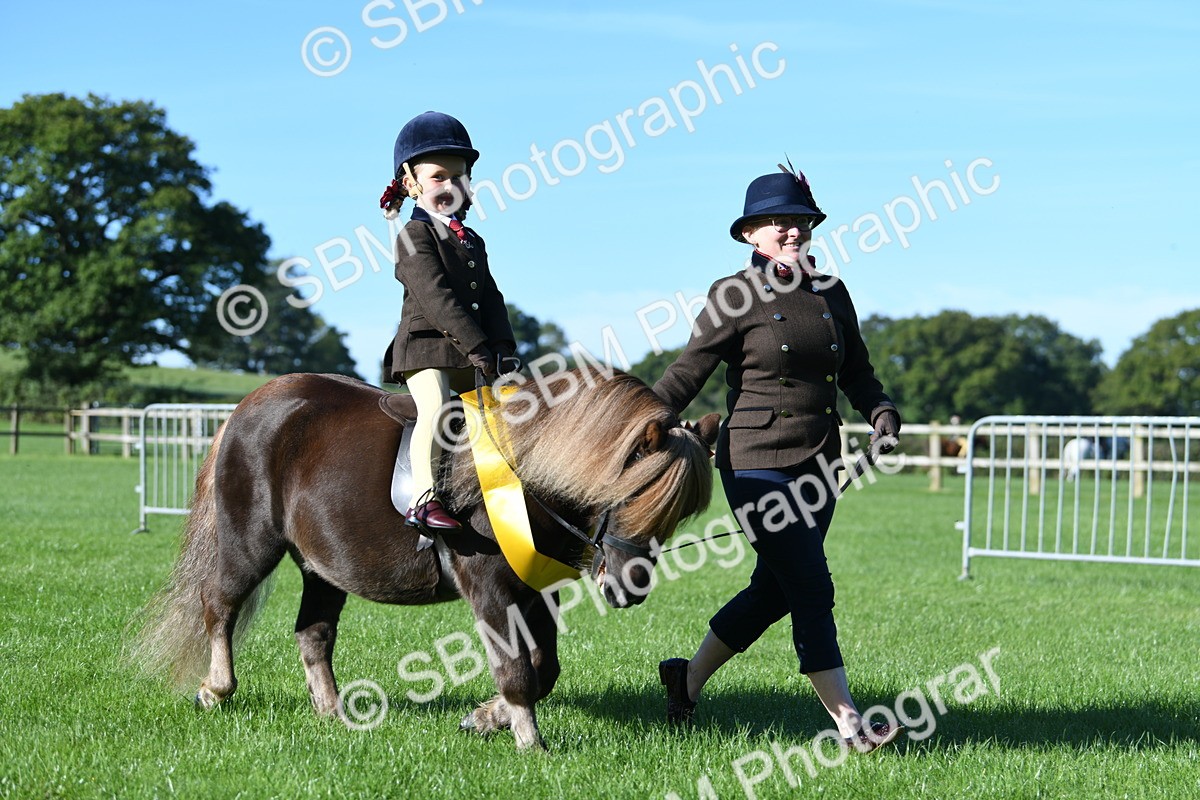 SBM_35504 - S17 - Condition & Turnout - Lead Rein