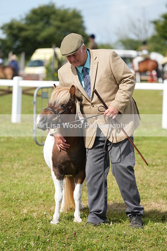 DSC05366 - Class 49: NPS Shetland 4 years and over