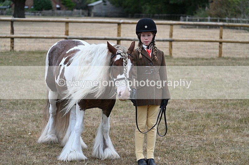 WJ7_8141 - Class 4 Prettiest Mare up to 14.2hh