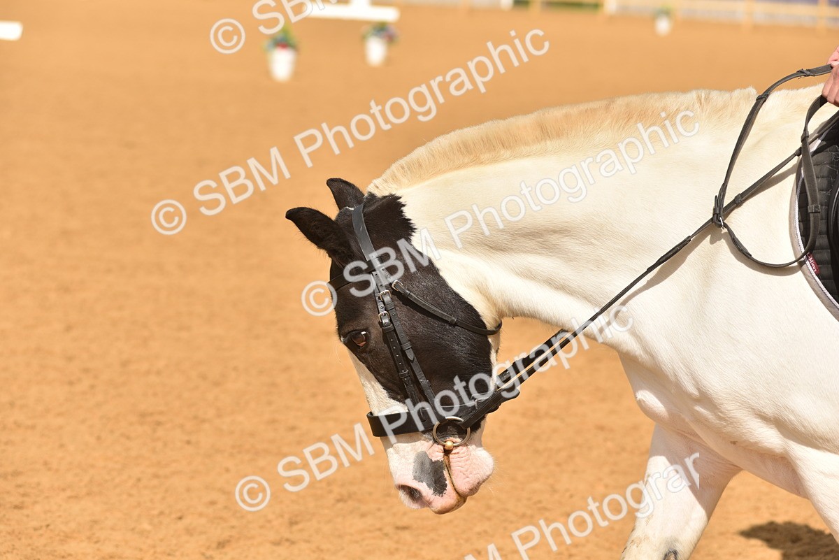 SBM_07743 - D15 - Small Tour Championship Novice 1