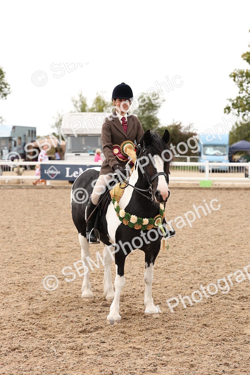 SBM_19735 - Class 216 - Ridden Traditional - Native Cob