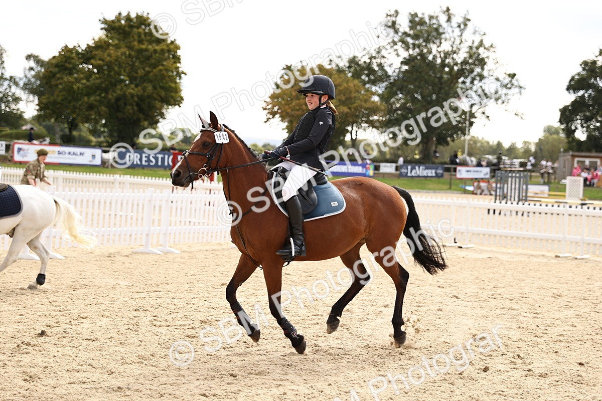 SBM_64048 - J12 - Junior Pony 55cm Championship