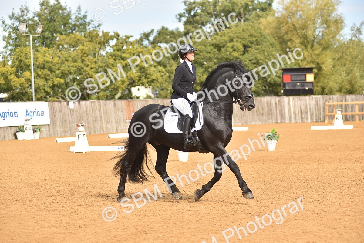 SBM_03620 - D15 - Small Tour Championship Novice 1