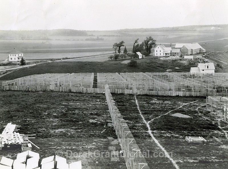 Fox Ranch / Fox Farm Little River New Brunswick Canada - Historic New Brunswick