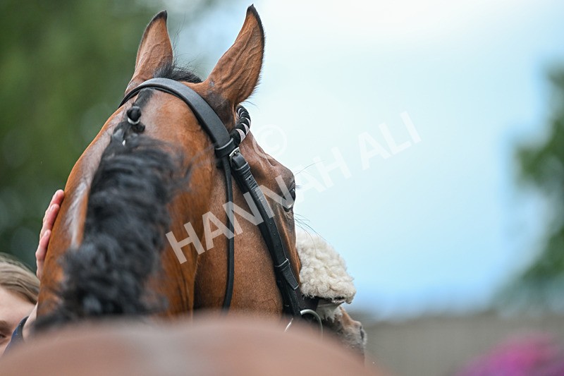 290725-Race 7-King Sharja-1356 - Race 7