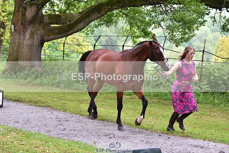 240522-160320-00682 - 117-KASAGRANDE_VR-Gemma_Watts