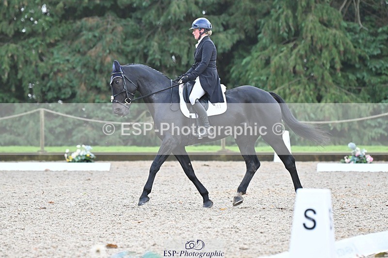 231019-104208-01933 - 102-BAGHEERA-Althea.Bleekman-DR