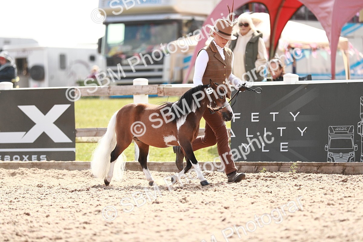 SBM_13891 - Class 209 IH Veteran Pony