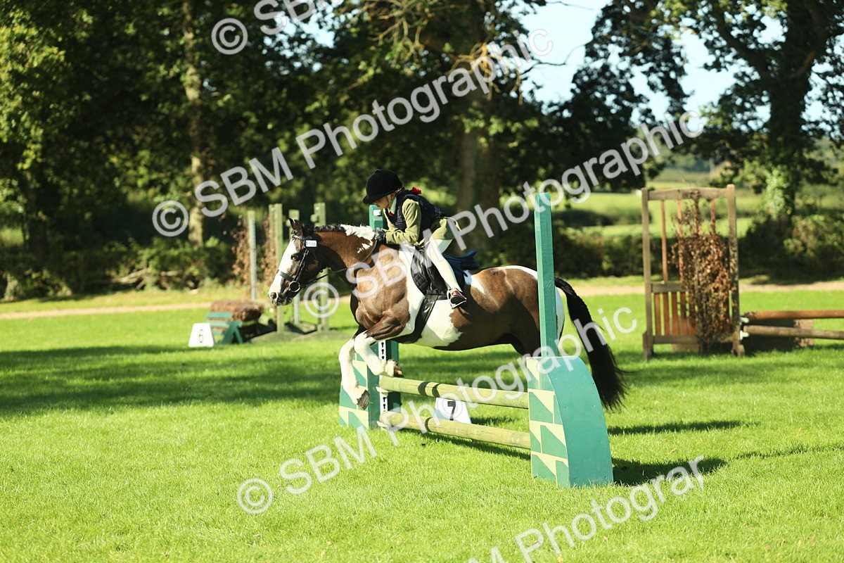 SBM_36528 - S29 - Novice & Newcomers Working Hunter Pony