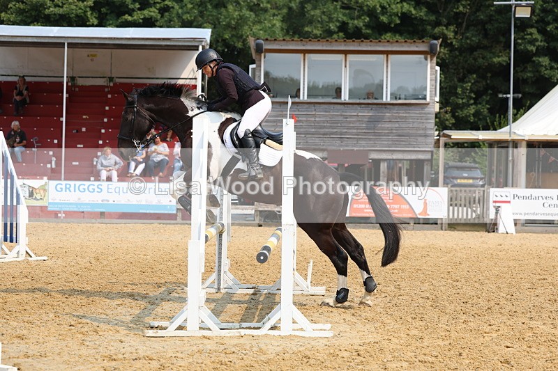 3E7A1302 - Class 4: Senior British Novice/90cm open