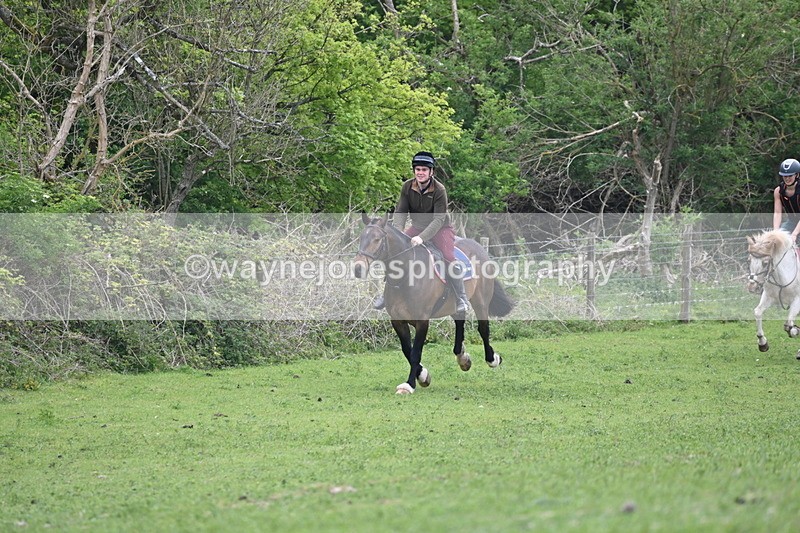 WJ6_3272 - A camera