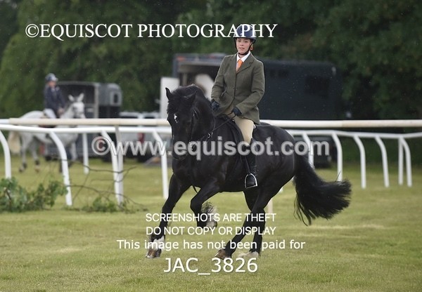 JAC_3826 - 65cm WORKING HUNTER