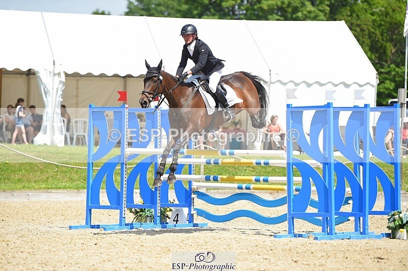 230528-121036-15566 - 361-FINCH_FANCY-Ben_Lee_Liles-SUNTrotUp+SJ