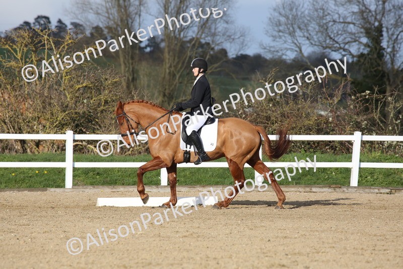 20260314-6168 - CT5 - Novice 2