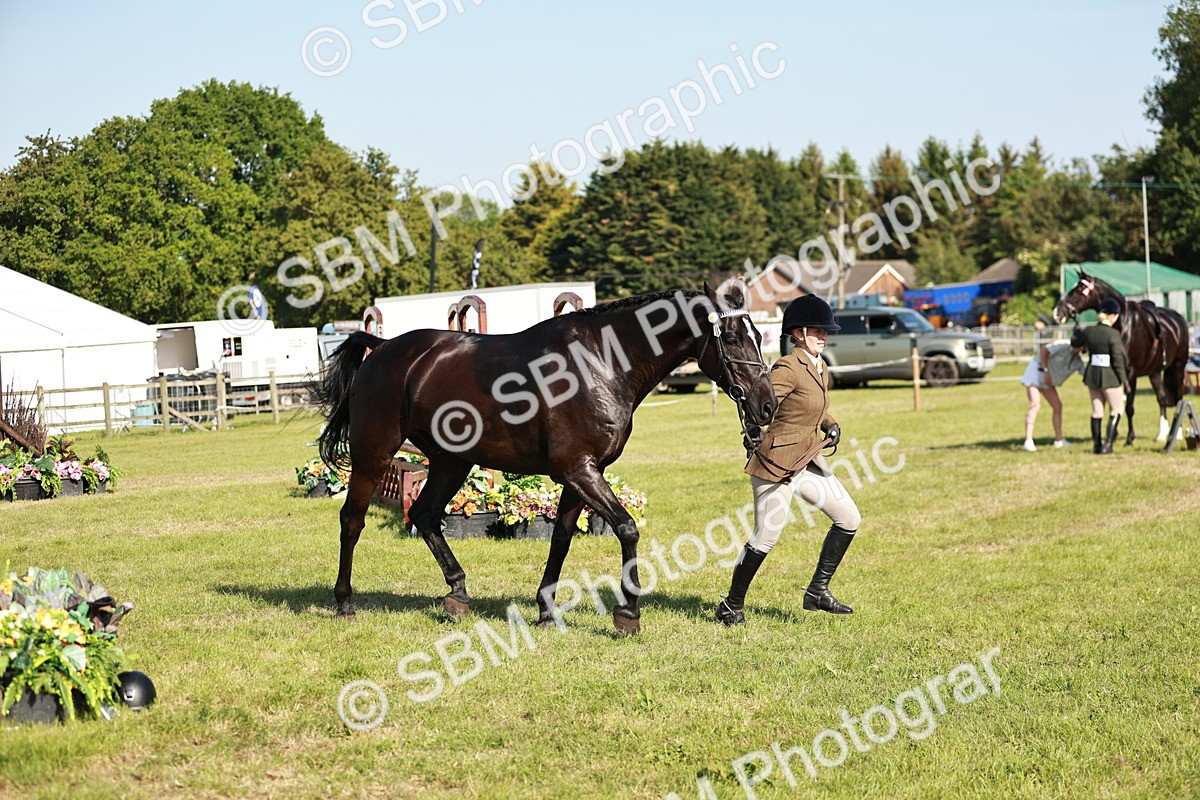 SBM_19297 - Class 115-116 - LIHS BSHA Rising Star Working Hunter & Show Horse